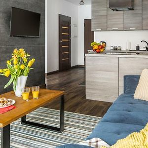 Deluxe Studio met een King Size Bed